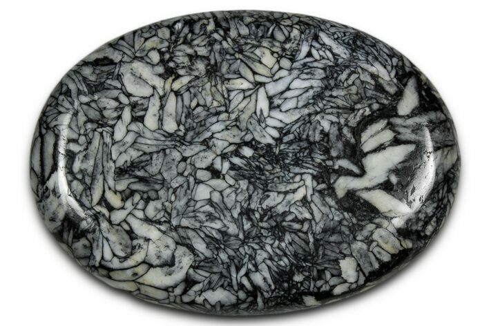 Polished Pinolite Palm Stone - Austria #343891